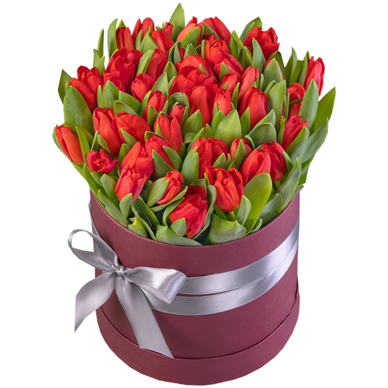 Бокс из 51 красного тюльпана