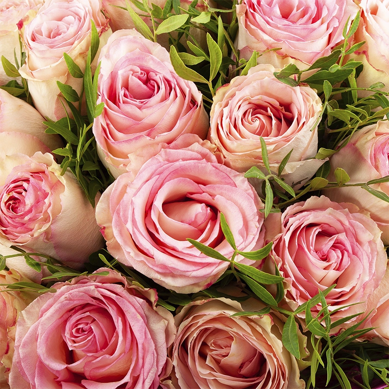 Букет Танцы у костра