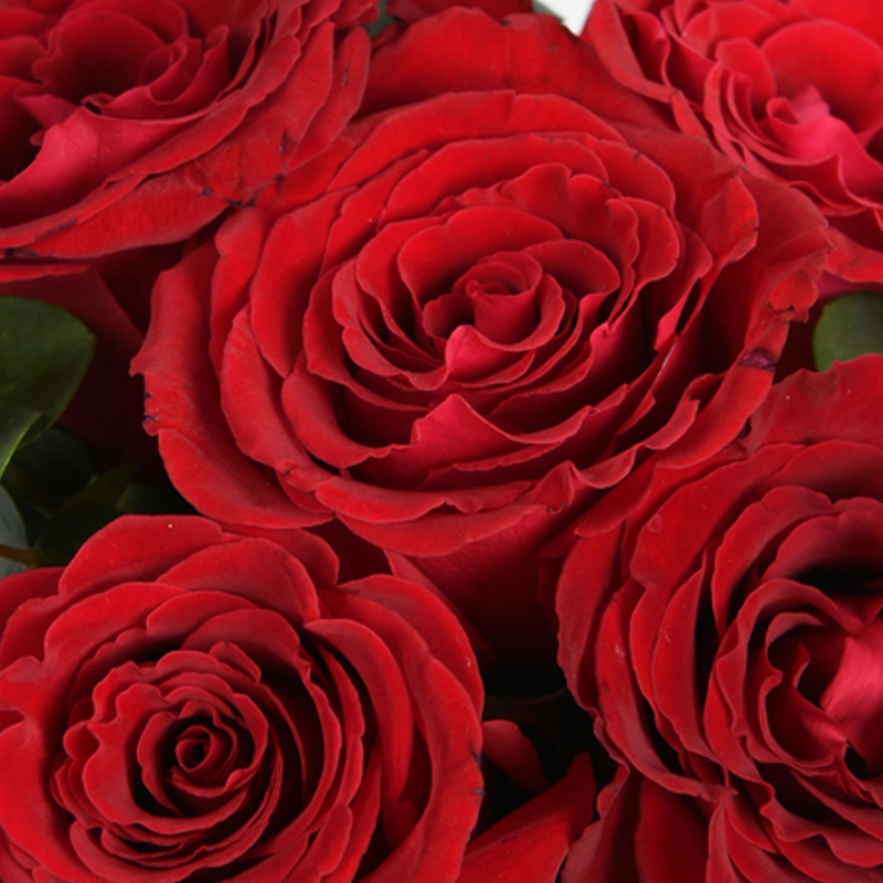 Цветы в коробке Топаз